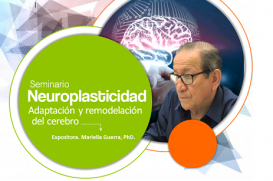 Seminario : Neuroplasticidad. Adaptación y Remodelación del Cerebro